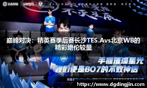 巅峰对决：精英赛季后赛长沙TES.Avs北京WB的精彩绝伦较量